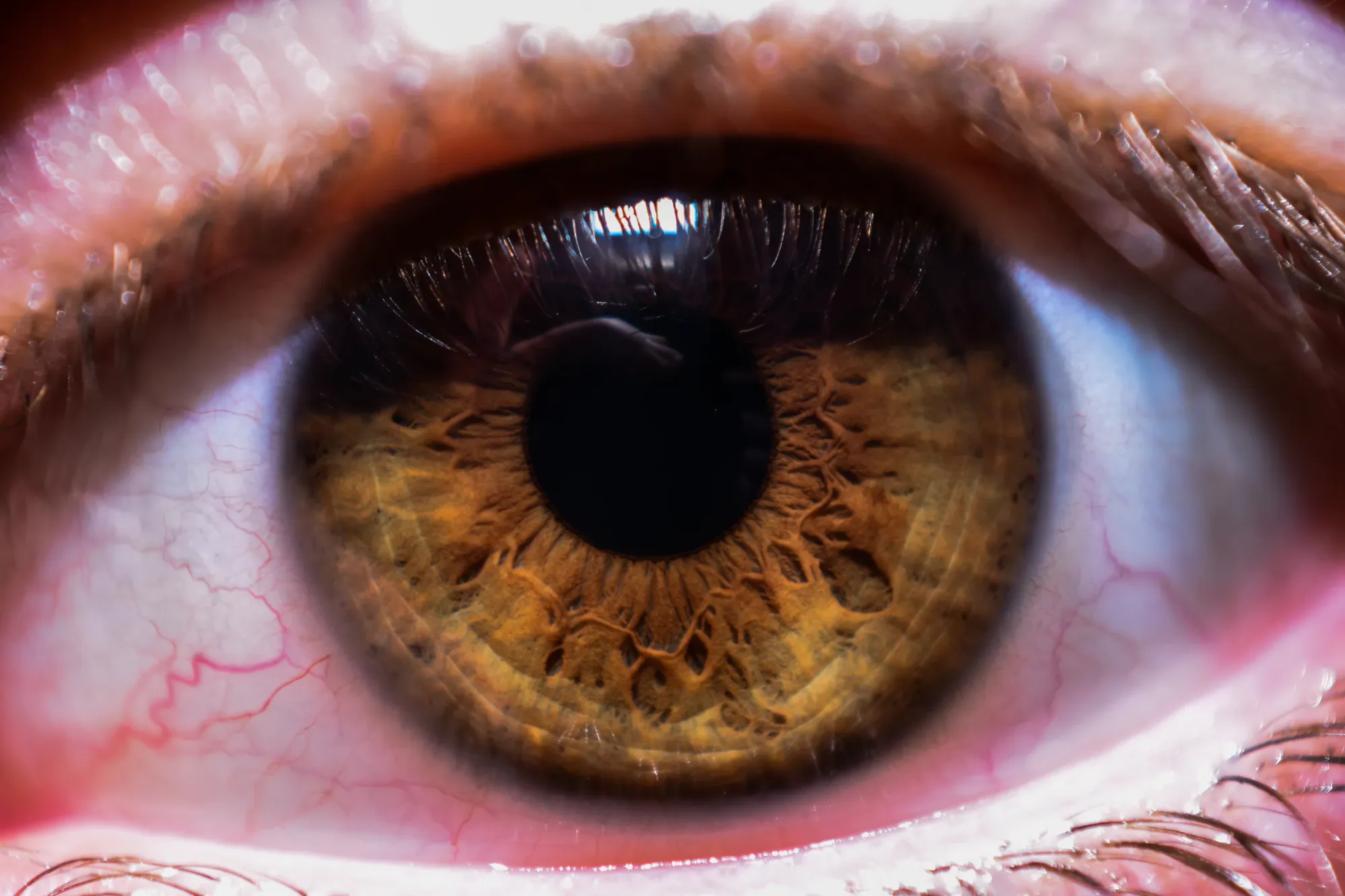 Extreme close-up of a hazel human eye with detailed iris textures and reflected light.